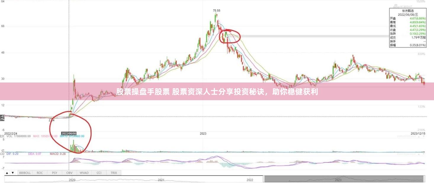 股票操盘手股票 股票资深人士分享投资秘诀，助你稳健获利